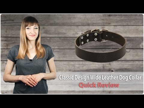 elegant-classic-design-genuine-leather-dog-collar-1-1/2-inches-(40-mm)-wide---quick-review