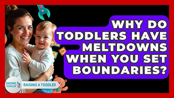 Why Do Toddlers Have Meltdowns When You Set Boundaries? - Raising A Toddler