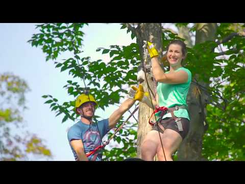 Acro-Nature au Sommet Morin Heights