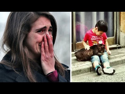 Video: Waren zu Tränen gerührt?