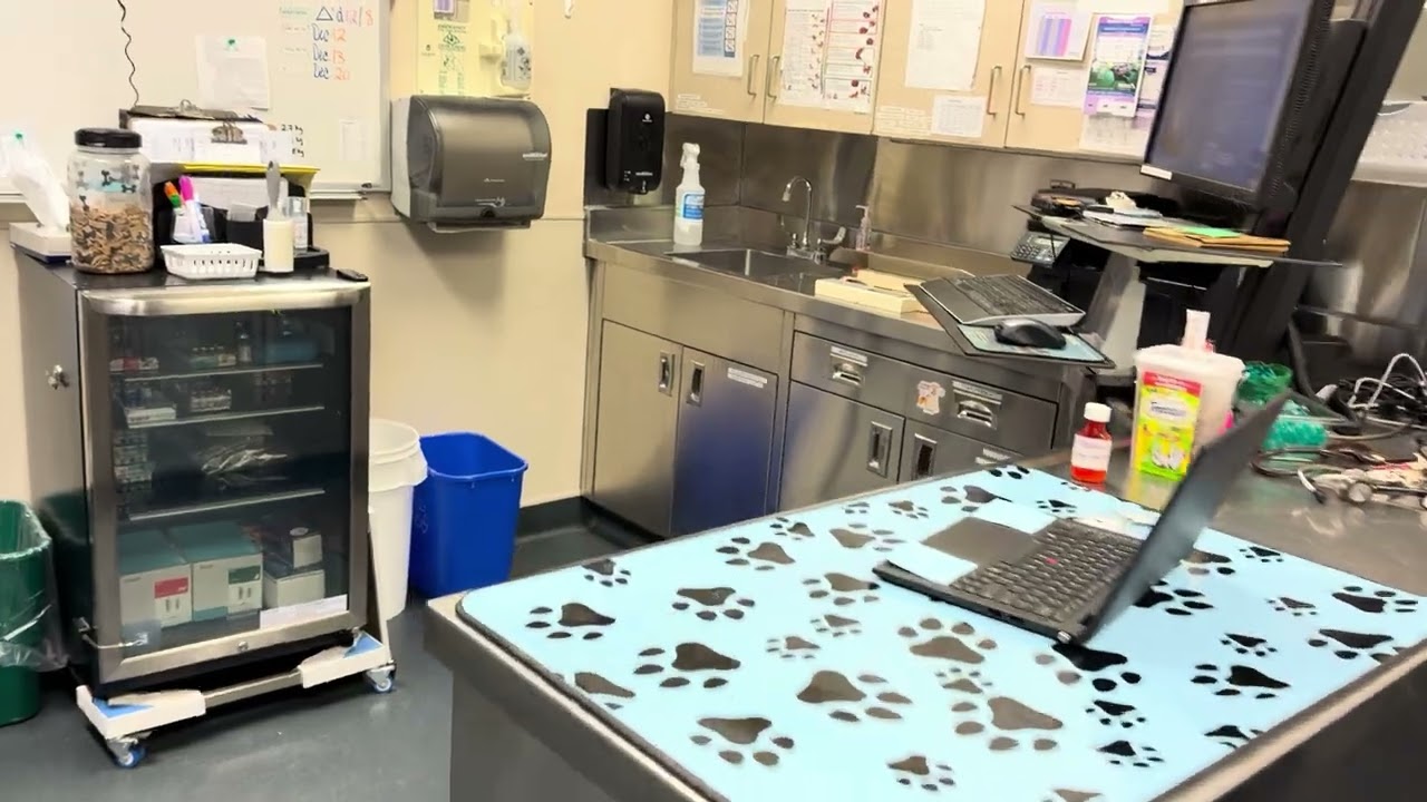 Animal Care and Control Centre Lost and Found