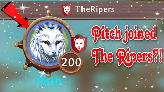 WildCraft: @PitchTheFox_2568 JOINED THE RIPERS?? | Pitch Joined My Clan For A Day