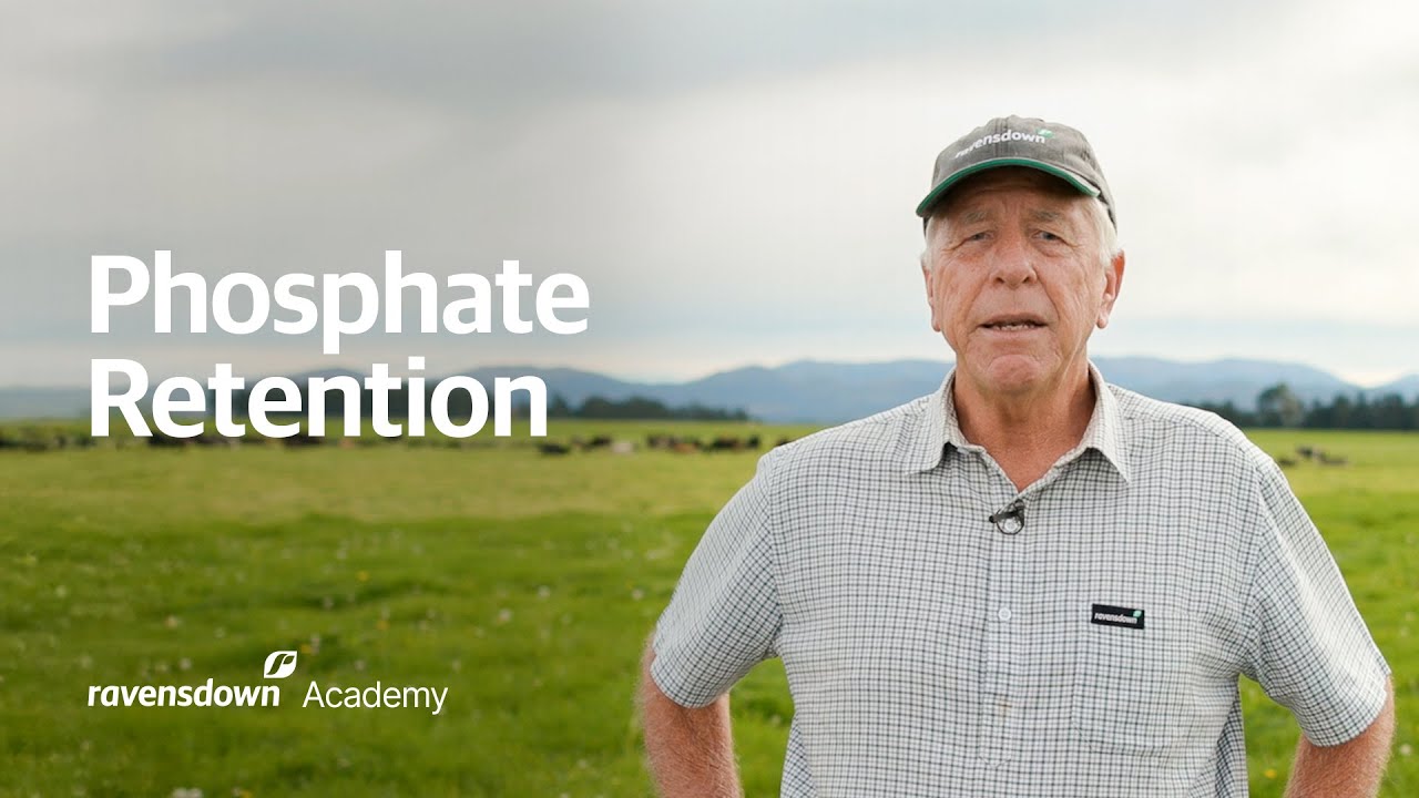 Does High Phosphate Retention Lock Up Fertiliser? The Science Explained