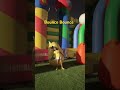Bouncing 😎