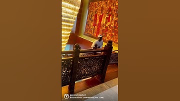 General Beehot x JTMT - Downgrade