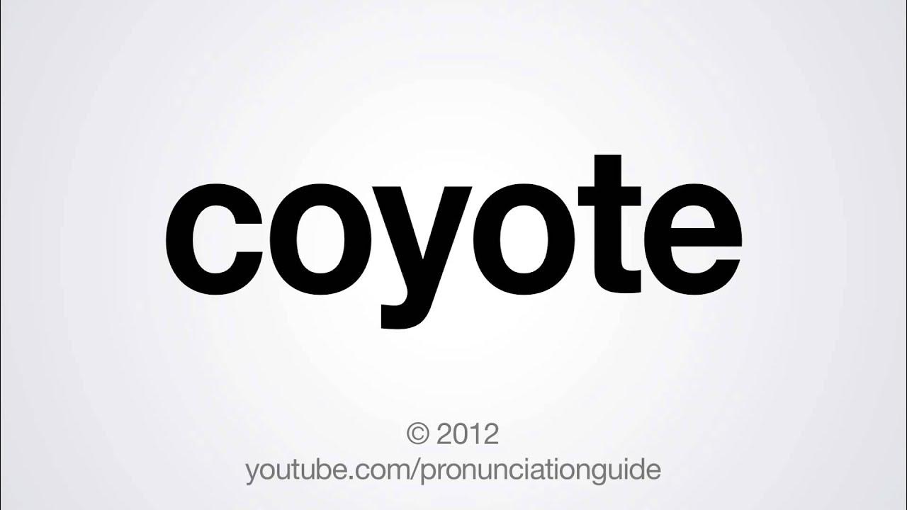 How to Pronounce Coyote YouTube