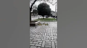 أرى أنني تائها في الطريق ديننا و دنيانا حب الله 