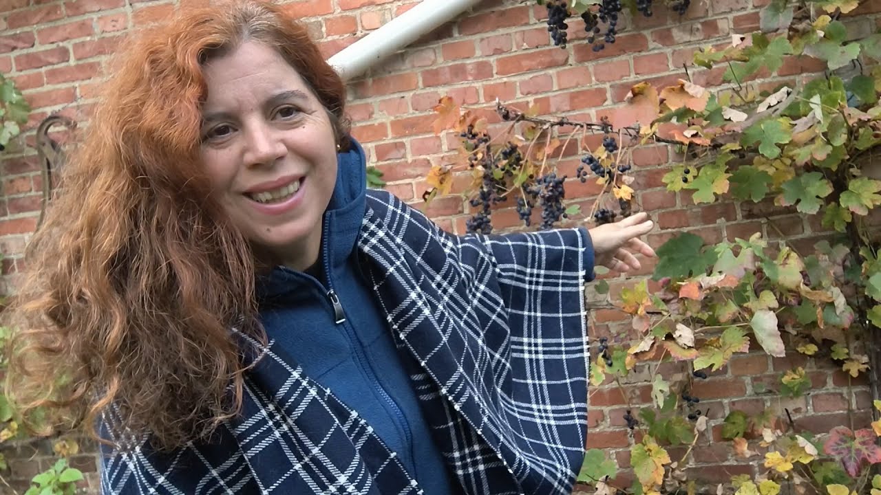 Hay que respetar el pais donde vayas.  En Bélgica no hay plato de cuchara.