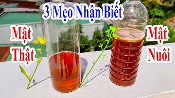 Top 3 cách phân biệt chính xác mật ong thật với mật ong nuôi siêu đơn giản nhất định bạn phải biết