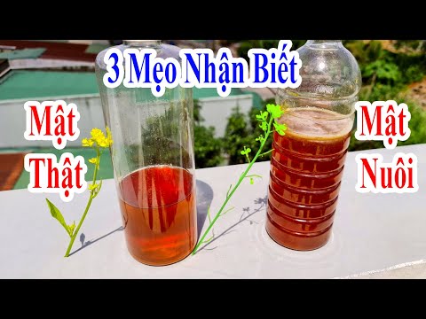 Top 3 cách phân biệt chính xác mật ong thật với mật ong nuôi siêu đơn giản nhất định bạn phải biết 2023 Mới