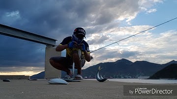 Câu cá xay cá trác cá nục cá ngân quá dễ/sabiki rig scad