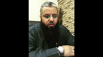 القطط في عالم السحر 