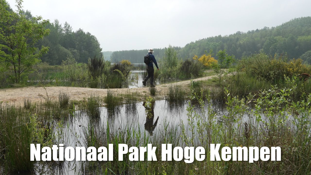 Ochtendhike Nationaal Park Hoge Kempen *