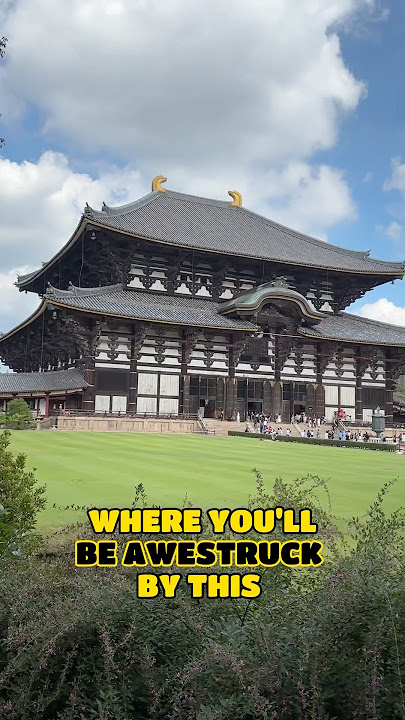 My Top 5 Must Dos in Nara, Japan 🇯🇵