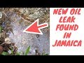 More Oil Has Been Found In Jamaica - Are We The Next Dubai?