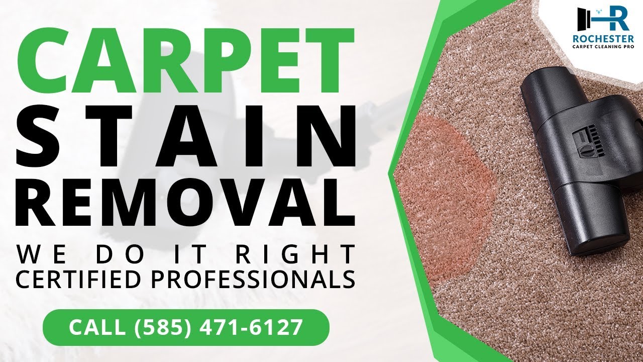 Carpet Stain Removal Brighton NY | Call (585) 471-6127
