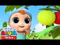 Lezzetli Yeşil Sebzeler ve Meyveler 🍍 | Eğlenceli ve Öğretici Çocuk Şarkıları | Little Angel Türkçe