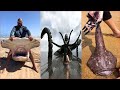 Catching Seafood 🦀🐙 ASMR Relaxing (Catch Shark , Catch Fish ,Deep Sea Monster ) - Tik Tok #166