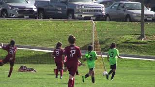 11/3/18 - Natomas FA 08G v. West Coast Soccer Koyotes - Second Half