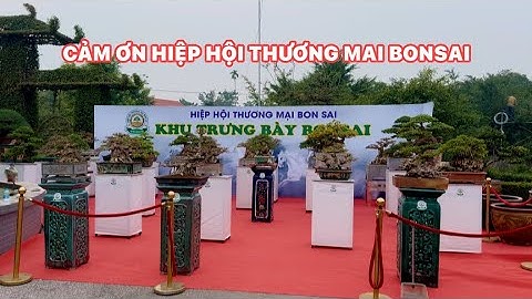 HIỆP HỘI THƯƠNG MẠI BONSAI GÓP VUI VỚI CLB CÂY CẢNH 1978 ra mắt ngày 13/12/2025