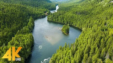 4K Drone Footage of Canadian Rivers and Waterfalls - Ambient Drone Film + Calming Music - Part 10