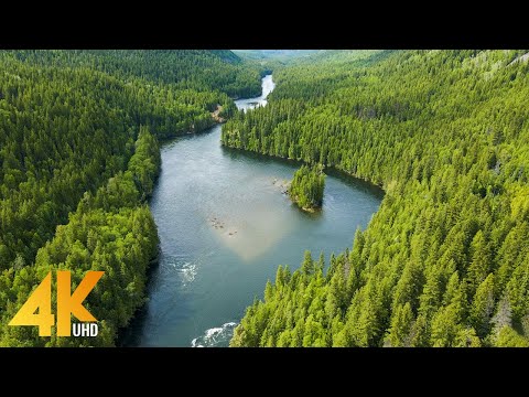 4K Drone Footage of Canadian Rivers and Waterfalls - Ambient Drone Film + Calming Music - Part 10
