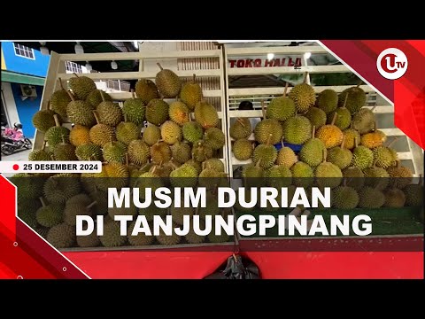 DURIAN DIJUAL 35 RIBU HINGGA 100 RIBU RUPIAH PER KILOGRAM | U-NEWS