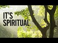 Its spiritual  woodland photography  a few tips and lots of emotion