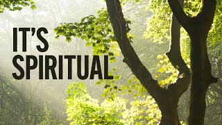 It's Spiritual  Woodland Photography  a few tips and lots of emotion