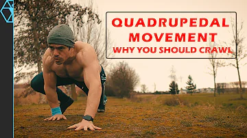 Quadrupedal Movement: Why You Should Crawl Like a Bear (Or Lizard)