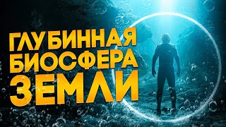 видео: Как подземная жизнь на Земле поможет найти ее в космосе картинка: Как подземная жизнь на Земле поможет найти ее в космосе
