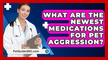 What Are The Newest Medications For Pet Aggression? - PetGuide360.com