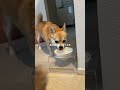 7日間の軌跡