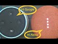 Echo Dot and Google Home Mini Greeting Each Other | Google Home | Amazon Alexa | Conversation