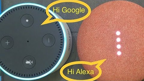 Echo Dot and Google Home Mini Greeting Each Other | Google Home | Amazon Alexa | Conversation