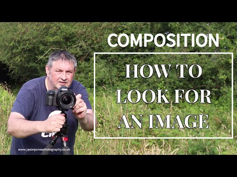 How To Look For An Image