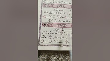 سورة المسد😍