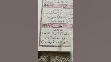 سورة المسد😍