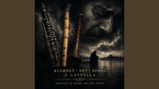 Ney, zurna ve klarnet ağıdı - haci yusuf alagöz