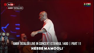 Amir Tataloo - Hesse Mamooli - Live In Istanbul Concert | Part 11 ( امیر تتلو - حس معمولی )