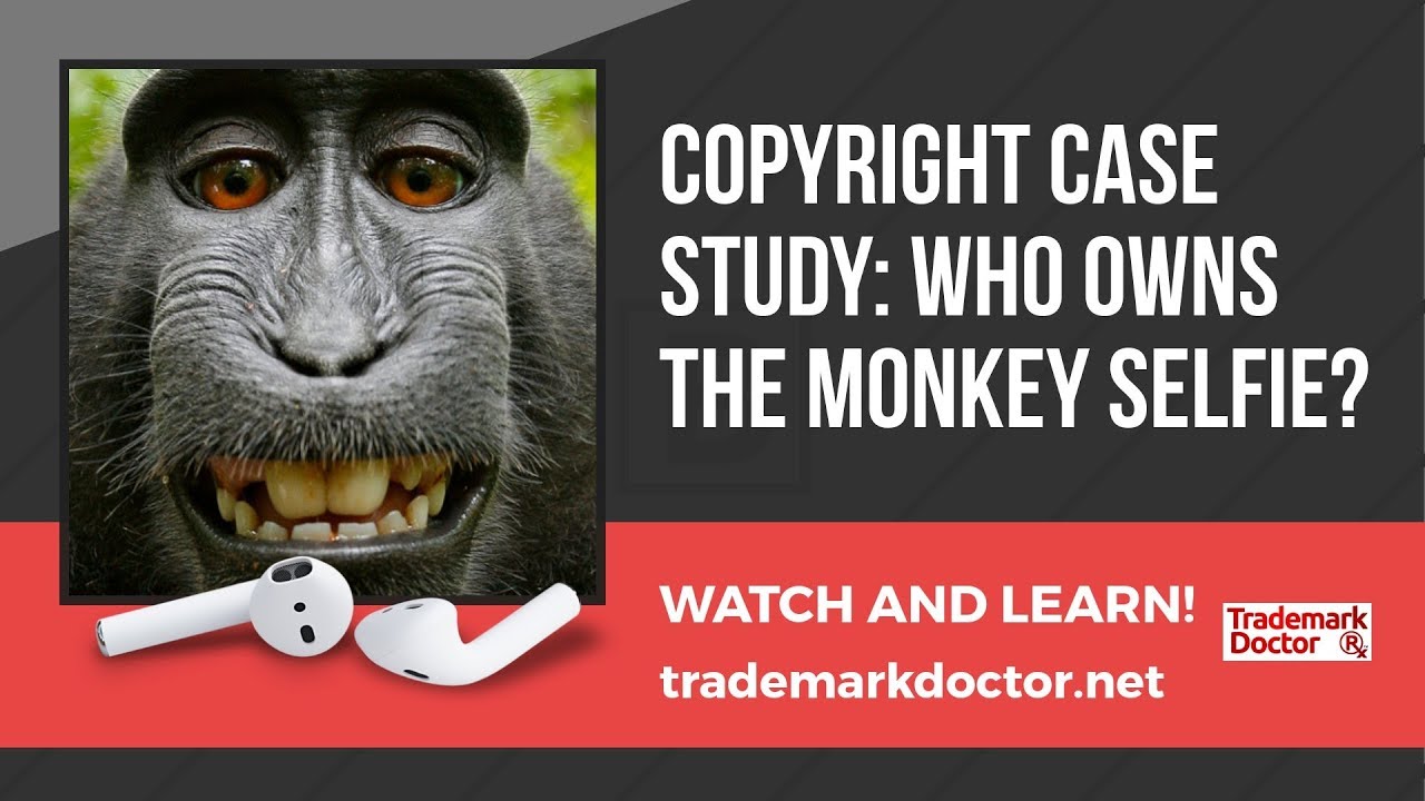 Copyright Case Study: Who Owns The Monkey Selfie? | Dallas Trademark