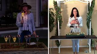 Garden Reflections 8-Piece Solar Seeded Lens Pathway Lights on QVC screenshot 2