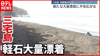 【漁出られず】三宅島で新たに“軽石”大量漂着を確認