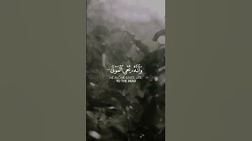 قرآن كريم بصوت #ياسر_الدوسري #quran #allah #fypシ゚viral #اكسبلور #الله #explore #fyp