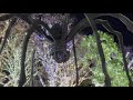 Tokyo Tower & Christmas Lights 2025 🇯🇵 Roppongi Hills Illumination Walk 六本木けやき坂イルミネーションと東京タワー