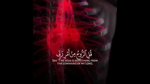 رعد الكردي || سورة الاسراء || ويسألونك عن الروح