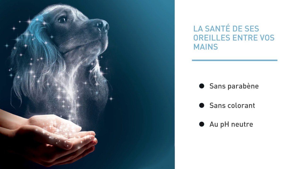 Pourquoi Choisir Sonotix Solution Auriculaire Pour Chiens Et Chats