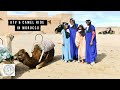 Atv  camel ride near marrakech morocco  family travel vlog