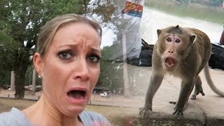 WILD MONKEY ATTACK!!!