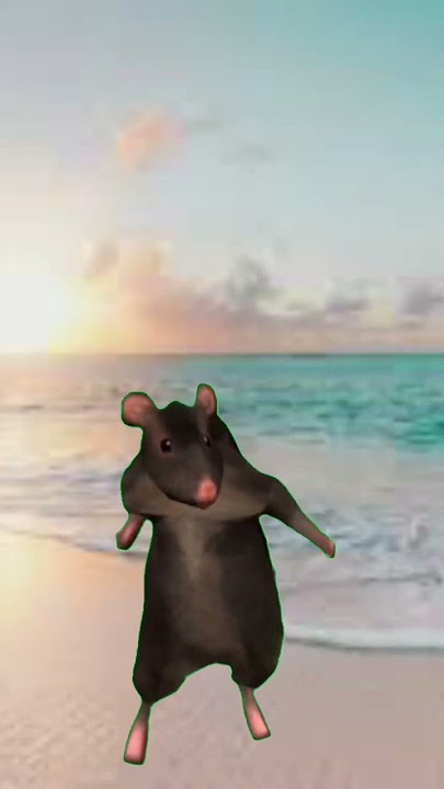 Rat dancing #ratatouille #dance